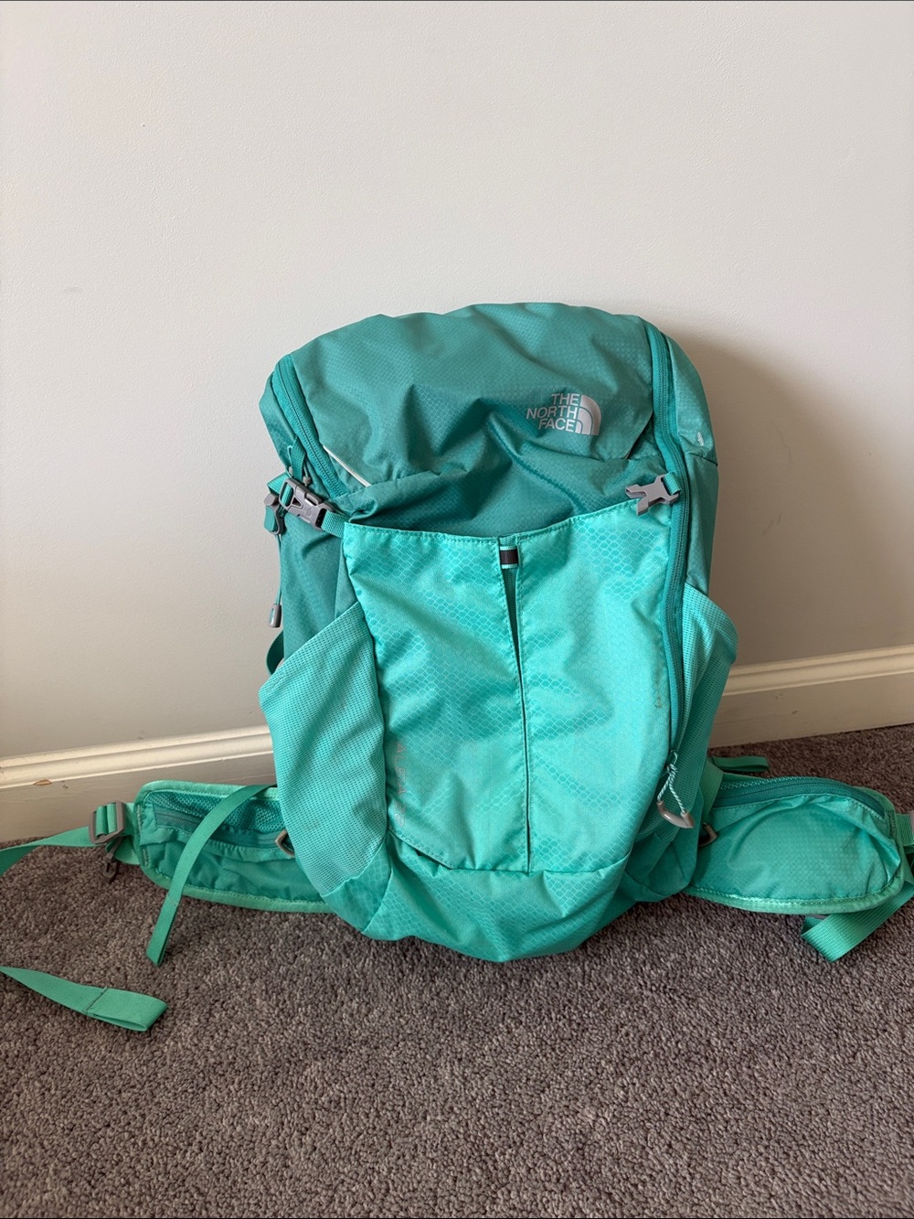 The North Face Litus 22 Hiking Backpack Teal Green Technical Daypack Lightweight